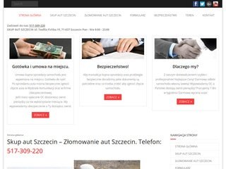 Podgląd auto-skupszczecin.pl