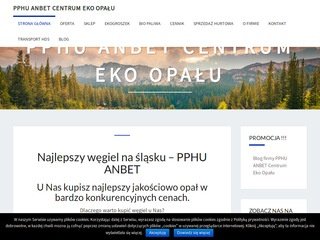 Podgląd centrumekoopalu.pl
