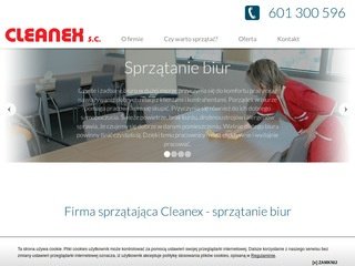 Podgląd cleanex.com.pl
