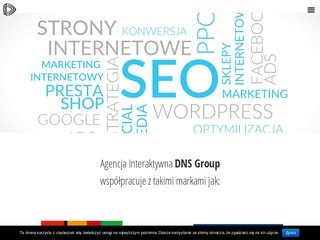 Podgląd https://dnsgroup.pl