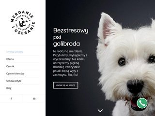 Podgląd https://merdanieczesanie.pl