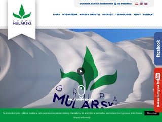 Podgląd https://mularski.pl