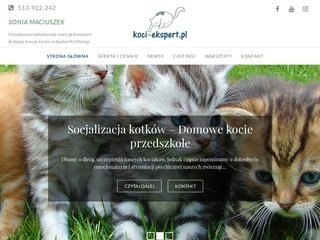Podgląd koci-ekspert.pl