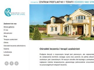 Podgląd https://terapianadstruga.pl