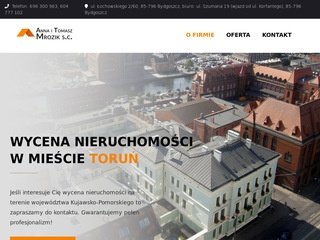 Podgląd mroziknieruchomosci.pl