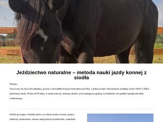 Podgląd choca-hej.pl