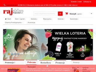 Podgląd rajsklep.pl