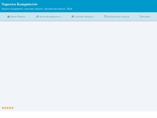 Podgląd https://naprawakomputerow.net.pl
