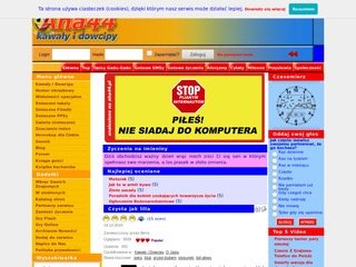 Podgląd aha44.pl