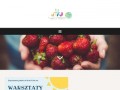 Podgląd fundacjanitka.pl