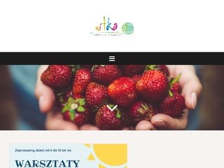 Podgląd fundacjanitka.pl