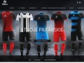 Podgląd https://pehasports.com