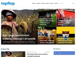 Podgląd https://topflop.pl/