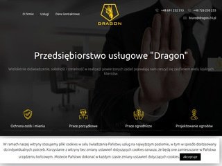 Podgląd dragon-24.pl