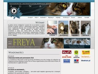Miniaturka nfo.pl