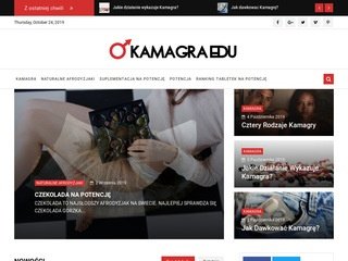 Podgląd biedroneczka.org.pl