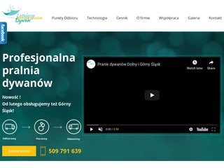 Podgląd latajacydywan.com