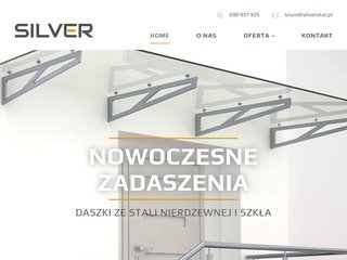 Podgląd https://www.sklep-silver.pl/