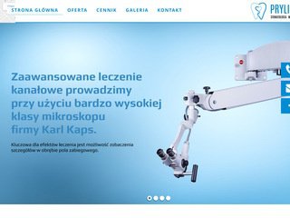 Podgląd prylinski.com.pl