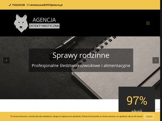 Podgląd detektyw.legenc.com
