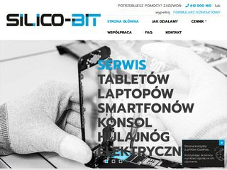 Podgląd silico-bit.com
