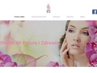 Podgląd studio66.pl