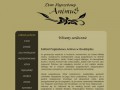 Podgląd https://animus-grudziadz.pl/