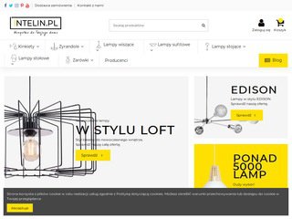 Podgląd https://intelin.pl