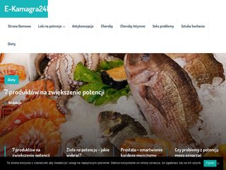 Podgląd https://e-kamagra24h.pl
