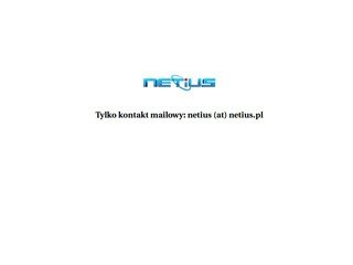 Podgląd netius.pl