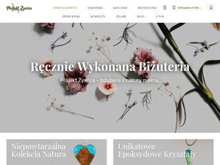 Podgląd projektzywica.pl