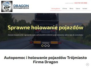 Miniaturka https://www.dragon-premium-autolaweta.pl