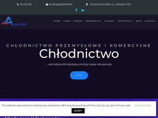 Podgląd ann-kari.pl