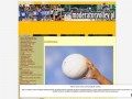 Podgląd moderatorvolley.pl