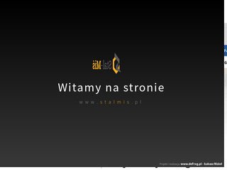 Podgląd stalmis.pl