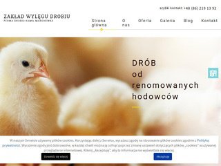 Miniaturka https://www.fermadrobiumarchewka.pl