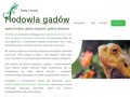 Podgląd https://gadyzbroda.pl