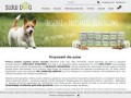 Podgląd https://slow-dog.pl