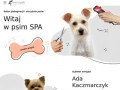 Podgląd https://psuwypada.pl