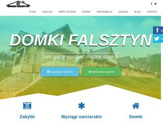 Podgląd domkifalsztyn.pl