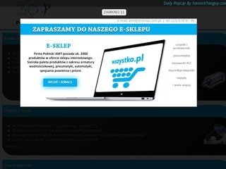Podgląd polinski.com.pl