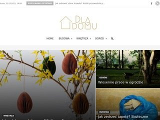 Podgląd https://dladomu.com.pl