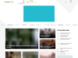 Podgląd https://www.tarnowskiegory.info
