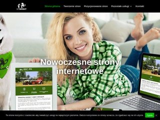 Podgląd https://seomamut.pl