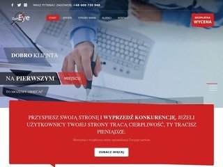 Podgląd https://darteye.pl