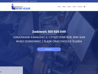 Podgląd https://niw-kan-slask.pl