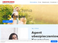 Podgląd ubezpieczeniakruszwica.pl