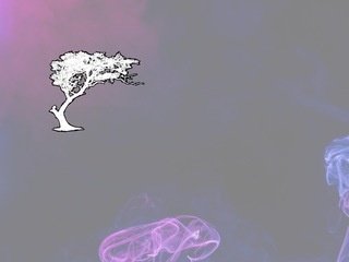 Podgląd https://www.wonderwoods.pl