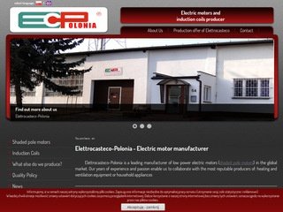 Podgląd ecp.biz.pl
