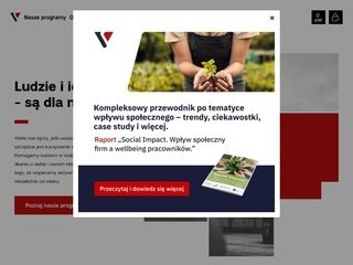 Podgląd https://www.vanitystyle.pl/